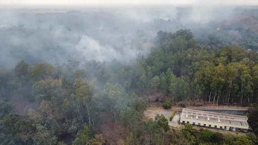 台南警消漏夜灌救山林火災 消防車不慎滑落邊坡釀1傷