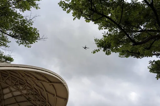 「桃園市抓狒戰情室」成立！食物無法誘惑原因曝光　出動空拍機搜捕東非狒狒