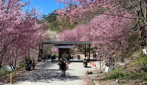 獨家｜廂型車國道超載旅客坐板凳　站路邊吃便當如難民！領隊嗆：不爽不要參加