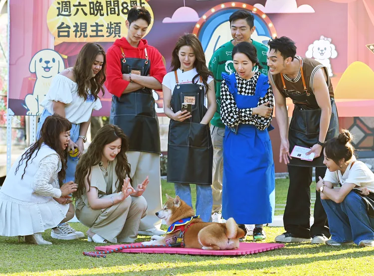 舒華(左二)和毛小孩互動很有一套。台視提供