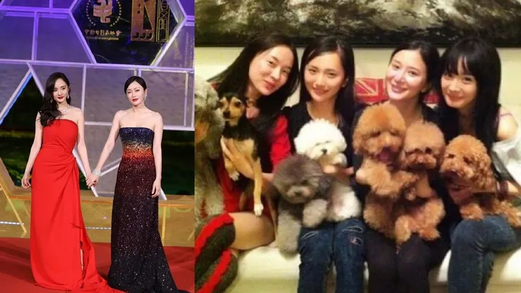 楊冪和秦嵐昔日是「泰迪姐妹團」閨密。翻攝草木公子啊、星探狗微博