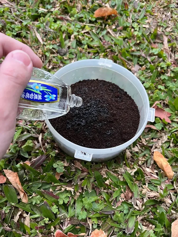 咖啡渣加白花油竟勾出一堆人有類似經驗。翻攝Dcard