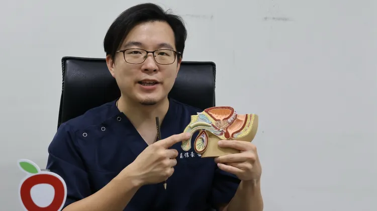 蘇信豪醫師以模型說明，塞異物進尿道，最易在中段處刺傷尿道。讀者提供