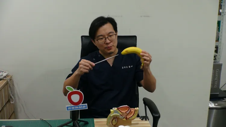 蘇信豪醫師以香蕉、筷子示意說明，塞異物進尿道，易在中段轉彎處刺傷尿道。讀者提供