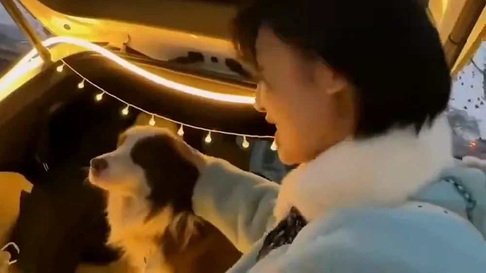 網美一開始摸狗時沒事。翻攝自微博