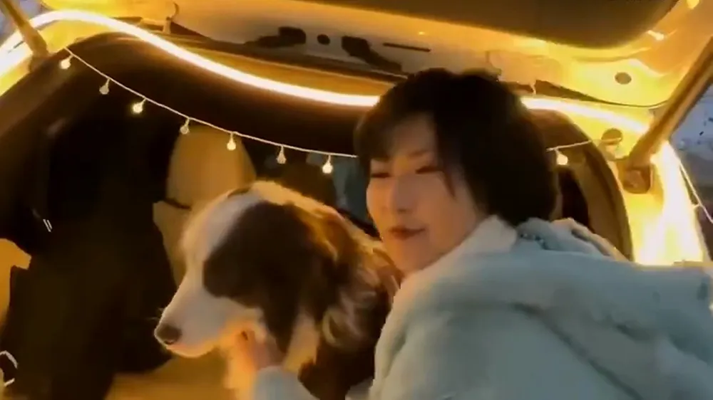網美決定貼近狗狗拍攝。翻攝自微博