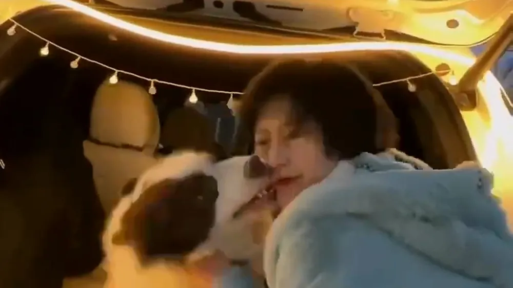 狗狗怒咬網美臉部。翻攝自微博
