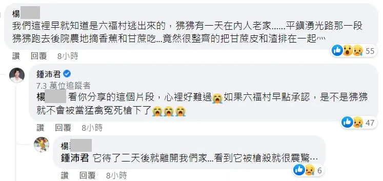 居民曝狒狒1反常行為！「早知是六福村逃出來」。翻攝黃揚明臉書