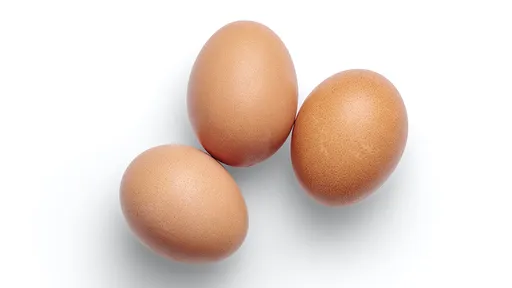 紓解缺蛋 陳吉仲:進口雞蛋上通路一盒10顆65元