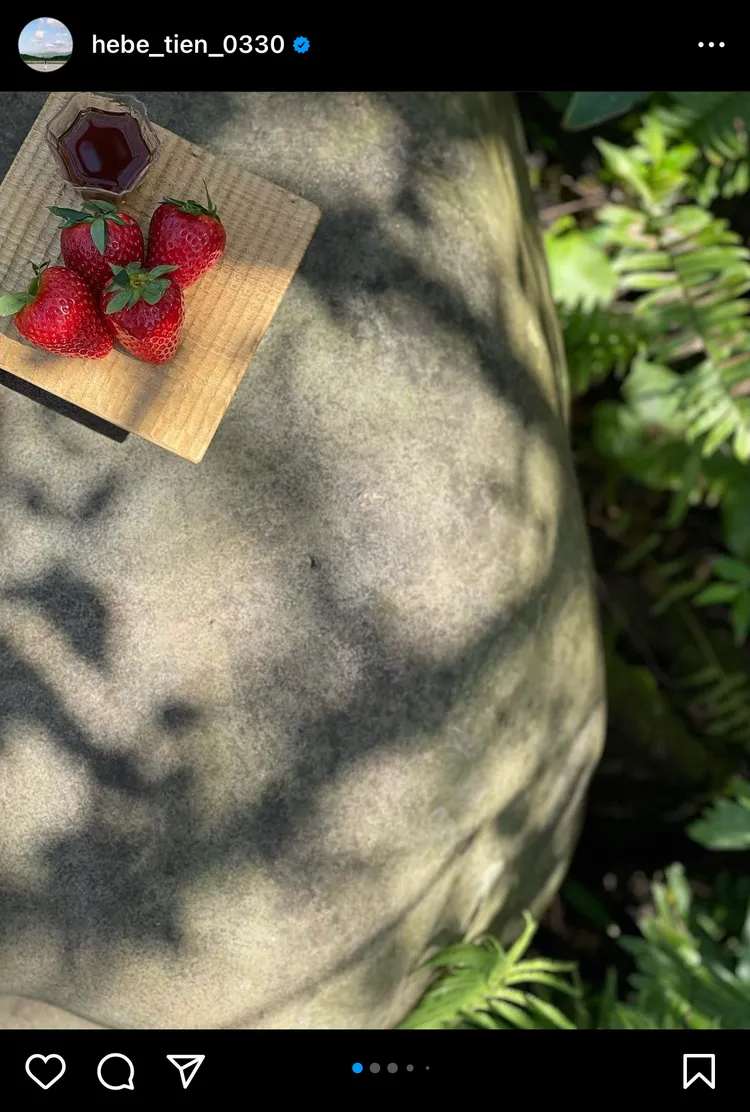 田馥甄上山享受大自然，小點心依舊是熱愛的草莓。翻攝田馥甄IG