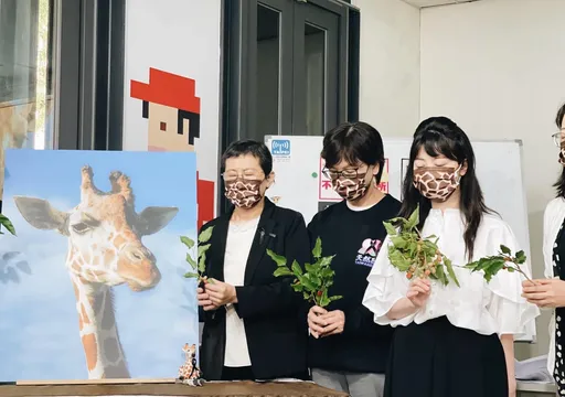 六福村10年養死8隻長頸鹿! 高嘉瑜批淪「動物墳場」:殺狒滅口還說謊