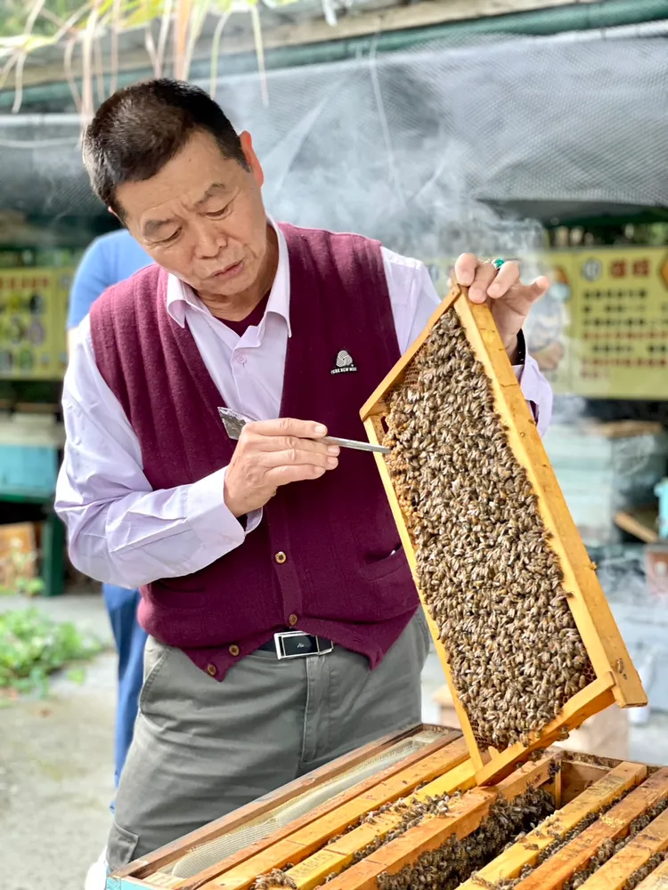 4/1至6/30推出的「花式春遊住房專案」，包含手沖咖啡課程+蜜蜂生態導覽體驗或SUP遊程二選一。曾仲葳攝