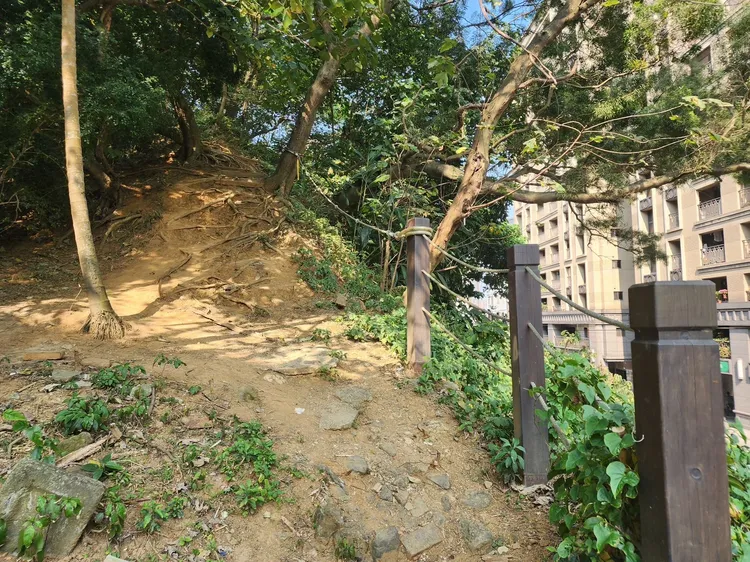 洪姓男子從這處山坡摔下。翻攝畫面