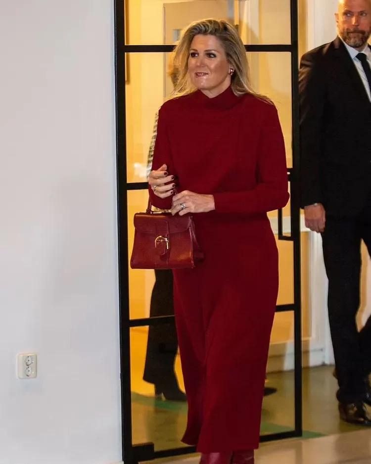 荷蘭王后麥克西瑪日前於公開活動中，拎出了百年比利時皇室御用品牌DELVAUX旗下的經典Brillant手袋。翻攝dutchroyals_ IG