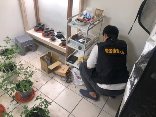 專業溫室隱蔽栽種這玩意 這下GG了!他竟是在串流媒體自學