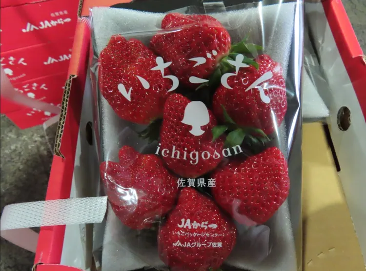 日本佐賀鮮草莓檢出殘留殺蟲劑氟尼胺超標。食藥署提供