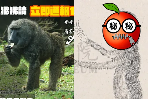 故宮發「狒文」不只蹭！曝典藏1隻「見人則笑」　台語典故令全網服了