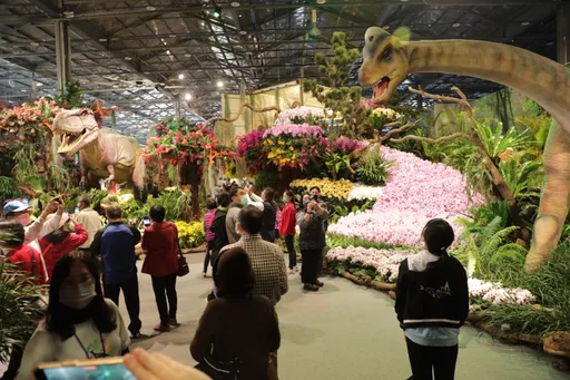 台灣國際蘭展落幕!創32萬人次遊園+112億元外銷訂單 這一項翻倍成長