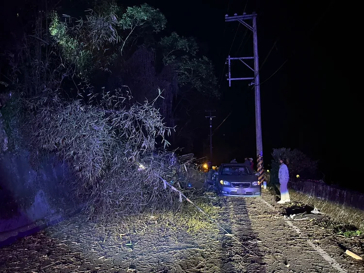 轎車滾落邊坡樹林，波及到路邊停車的轎車。讀者提供