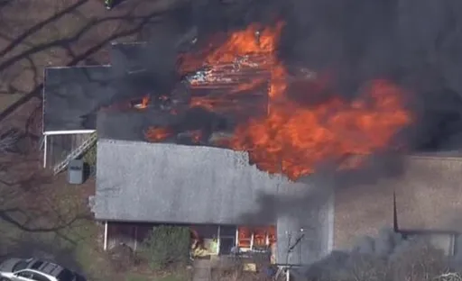 拒絕被趕走　剛烈貓奴女自焚亡30隻貓陪葬