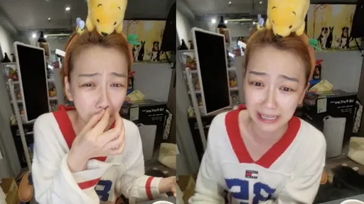 不捨東非狒狒慘死槍下 邵庭痛哭半小時「身而為人,很對不起」