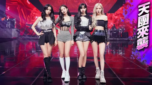 高雄开唱D-1｜BLACKPINK要来了！YG专机伺候金鸡母　烧千万也在所不惜