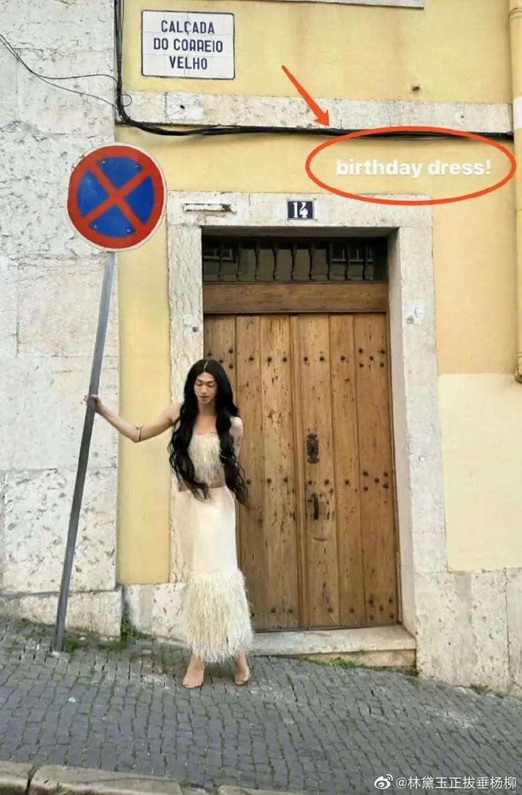 庾恩利穿女裝慶生。翻攝林黛玉正拔垂楊柳微博