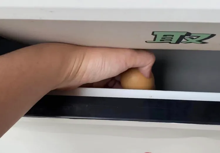 翻攝自臉書「台南式Tainan Style」