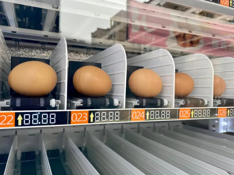 翻攝自臉書「台南式Tainan Style」