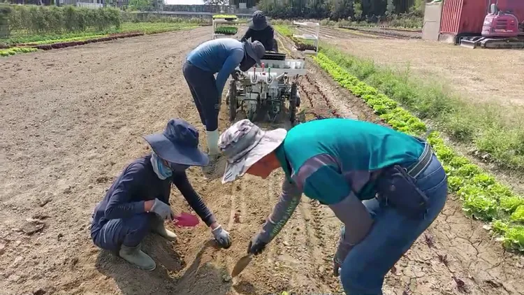 李法憲在梓官經營農場。凃建豐攝