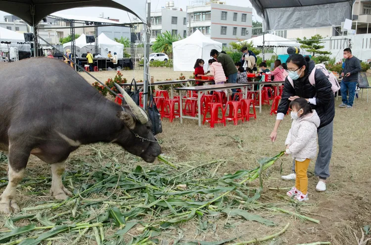 去年12 月中旬首次舉辦「梓感農村文化節」。李法憲提供