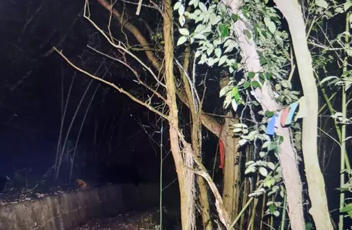 苗栗人倫悲劇!久病嬤撫養精障孫女 苦撐3年輕生雙亡