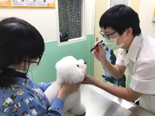 搶毛小孩商機!首家動物藥掛牌 永鴻生技3/24登錄興櫃