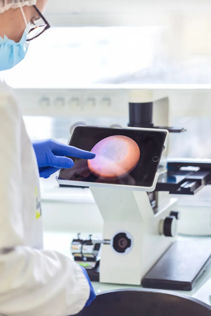 微環境斑點建模技術。品牌提供