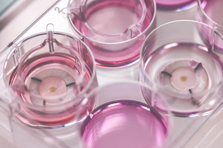 皮膚模型以含黑色素細胞的生物墨水列印，斑點會在成熟階段逐漸形成。品牌提供