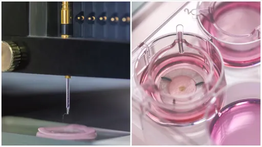 香奈兒為愛美女性幹大事　3D列印造皮膚模型還能長出小斑點