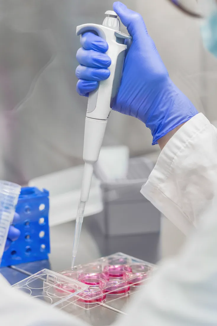 微環境斑點建模技術。品牌提供