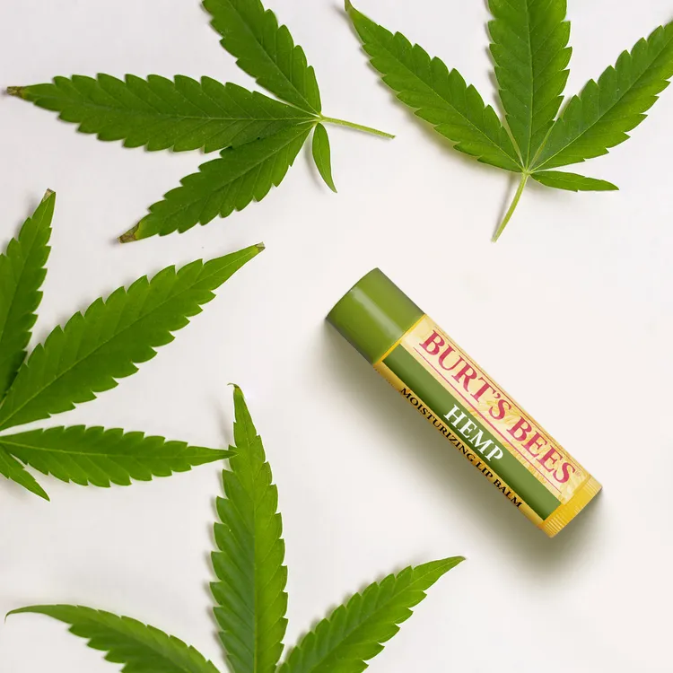 3/18前凡至涓豆腐點滿2道植感新菜送《Burt's Bees小蜜蜂爺爺》天然系護唇膏。業者提供