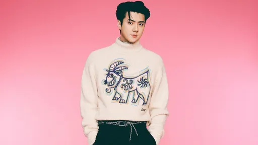 EXO世勳被爆未婚當爸火大發聲 撇圈外女友「完全不認識」