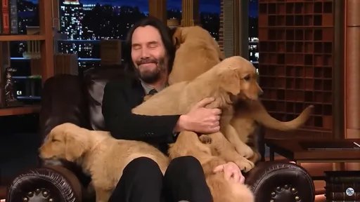 《捍衛任務4》劇組每小時輪班寵狗　基努李維被黃金獵犬「淹沒」融化網友