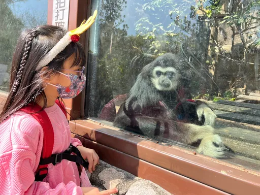 歡慶兒童節這些人免費入園 壽山動物園連假再加碼1000張現場票