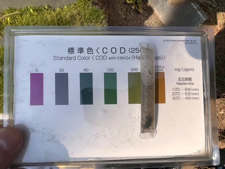經採檢快篩水質有機濃度偏高，導致不少魚類翻肚死亡。環保局提供