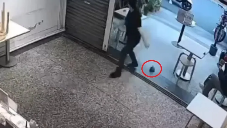 拖鞋差點砸到老闆娘。翻攝「社會事新聞影音」