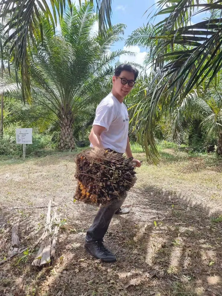 品冠採果突然不舉。