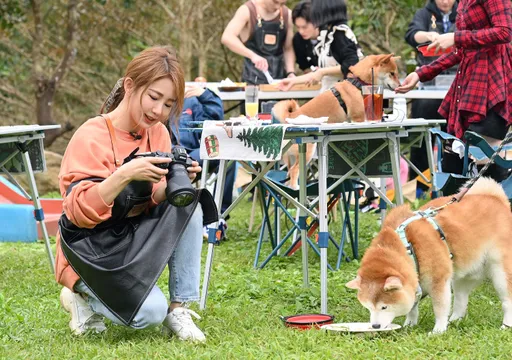 萌宠大军出动瑶瑶被击败 邱宇辰深怕柴犬大战一发不可收拾