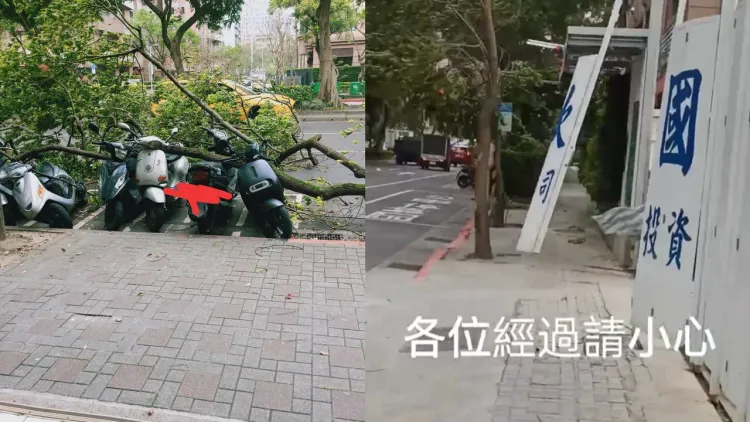 北市下午颳起強風，樹被吹倒、工地鐵片被追飛。翻攝自信義區三兩事臉書