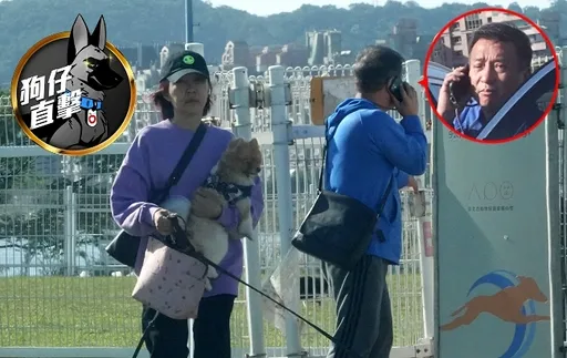 狗仔直击|王中平开车讲手机一心二用 载送老婆、毛小孩太危险