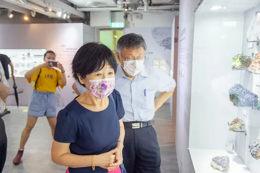 陳佩琪鬆口想從政！　認了有意挑戰「區域立委」還被柯文哲反問這一句