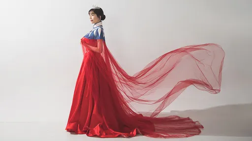 國旗裝網紅批中國打壓又經營b站 小粉紅出征舉報「這是台毒」