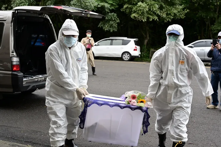 狒狒遺體今被裝箱送往北市動物園檢驗。動物園提供